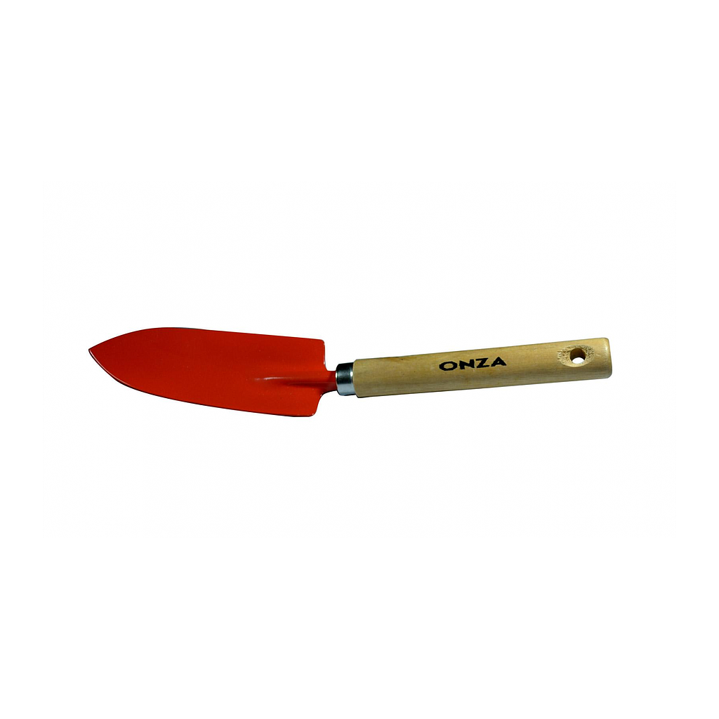 [CHIPTANG] PALITA TRANSPLANTE ANGOSTA CABO MADERA